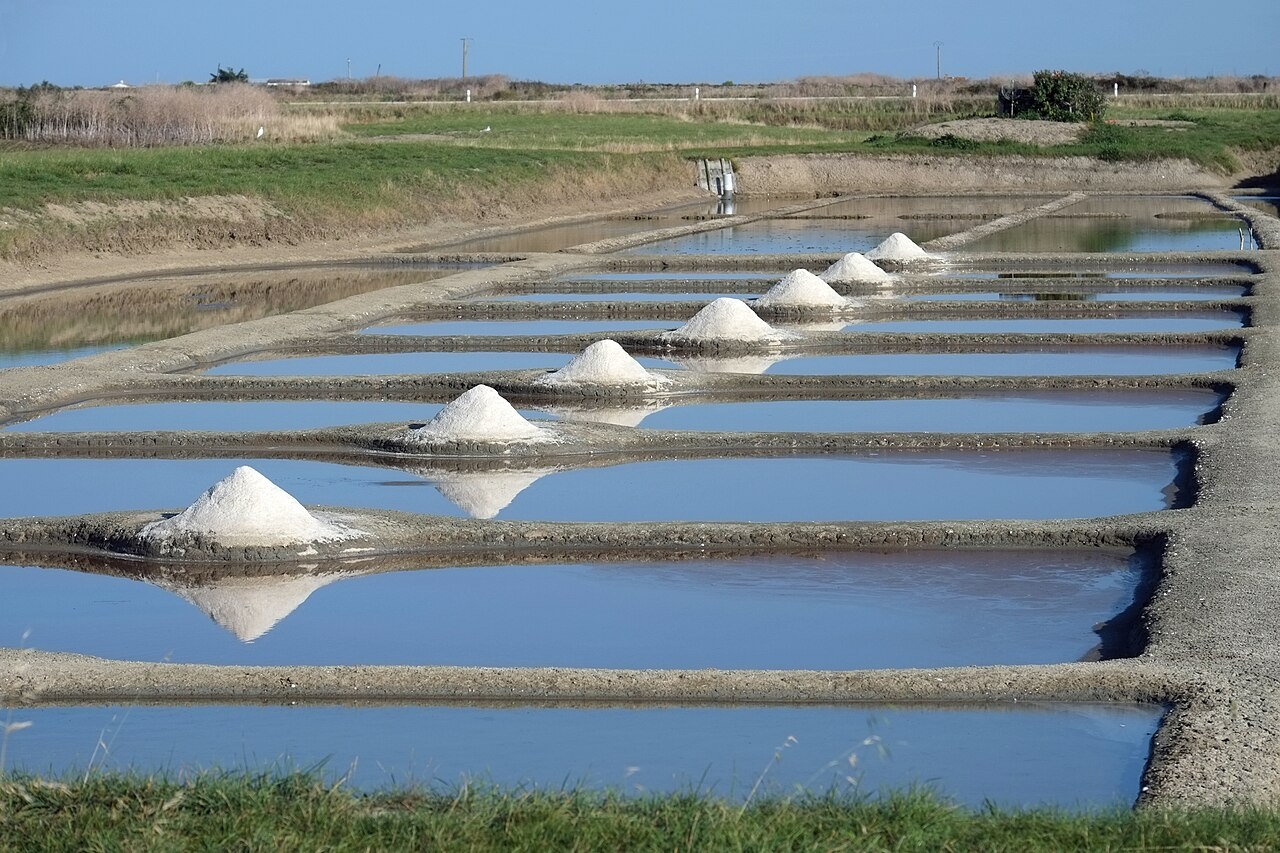 Salt marshes