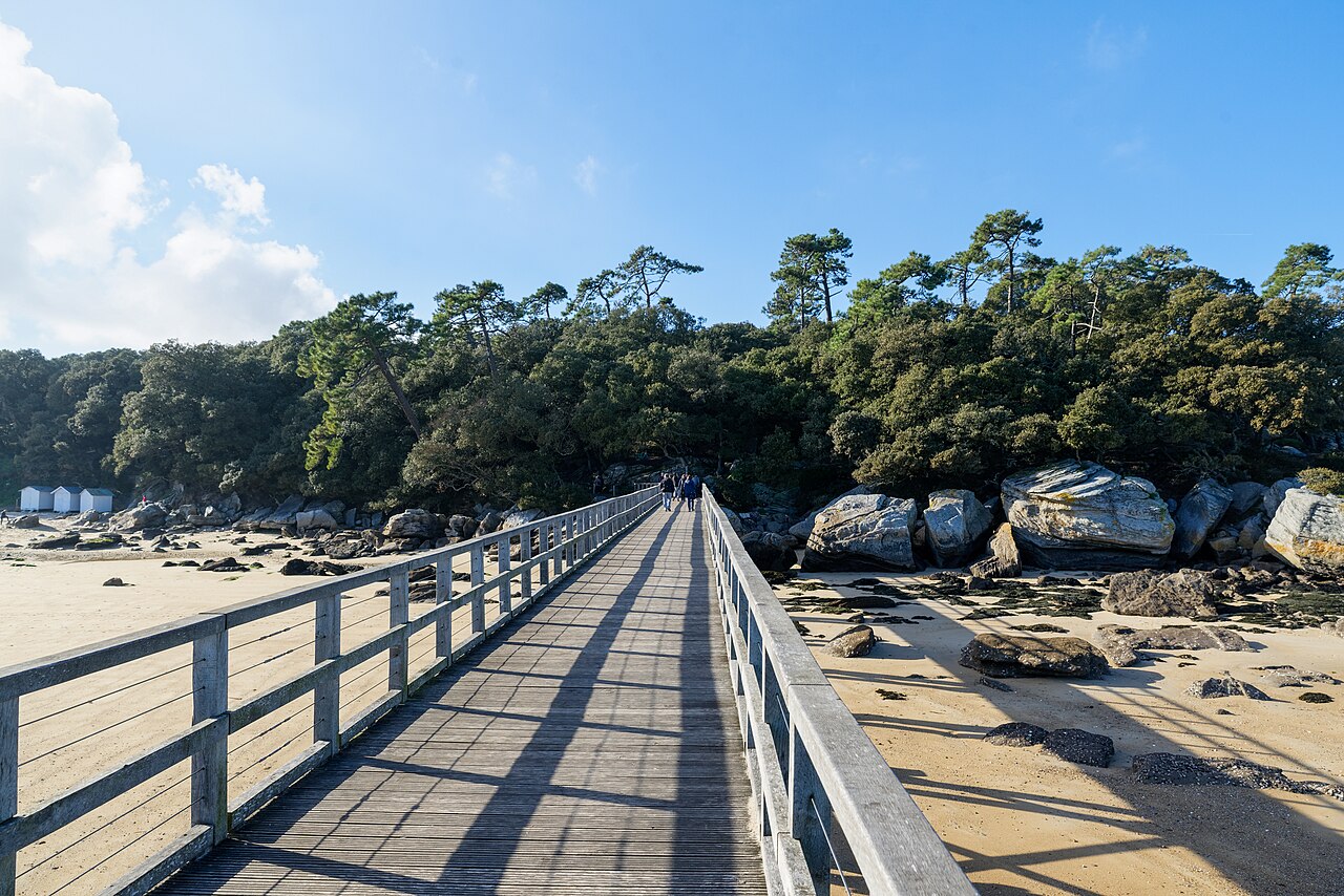 Plage des Dames, bois de la Chaise
